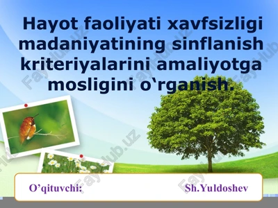 hayot faoliyati xavfsizligi madaniyatining sinflanish kriteriyalarini amaliyotga mosligini o‘rganish — PPT