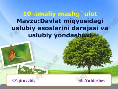 10-amaliy mashg`ulot: davlat miqyosidagi uslubiy asoslarini darajasi va uslubiy yondashuvi — PPT