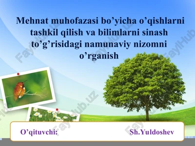 mehnat muhofazasi bo’yicha o’qishlarni tashkil qilish va bilimlarni sinash — PPT