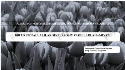urug’pallalilar sinfi — PPTX