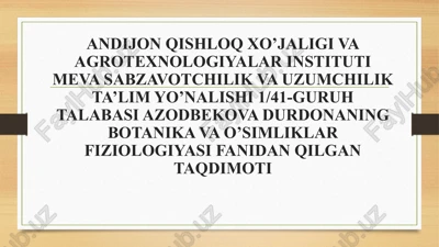 fotosintezda uglerod o’zlashtirilishi yo’llari’fotosintezni fiziologik va ekologik aspektlari — PPTX