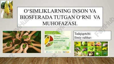 oʻsimliklarning inson va biosferada tutgan oʻrni va muhofazasi — PPTX