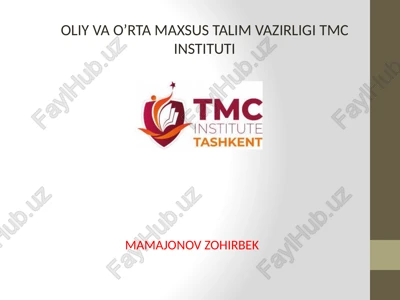 elektron hukumat tizimini yaratish bo'yicha xorijiy tajribalar — PPTX