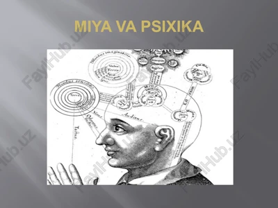 miya va psixika — PPTX