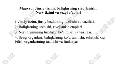 jinsiy tizimi, baliqlarning rivojlanishi. nerv tizimi va sezgi a’zolari — PPTX