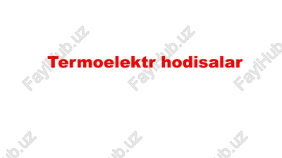 termoelektrhodisalar — PPTX