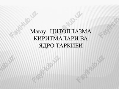 tsitoplazma kiritmalari vayadro tarkibi — PPTX