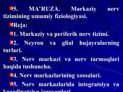 ma’ruza. markaziy nerv tizimining umumiy fiziologiyasi — PPT