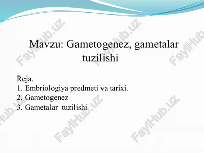 embriologiya — PPTX