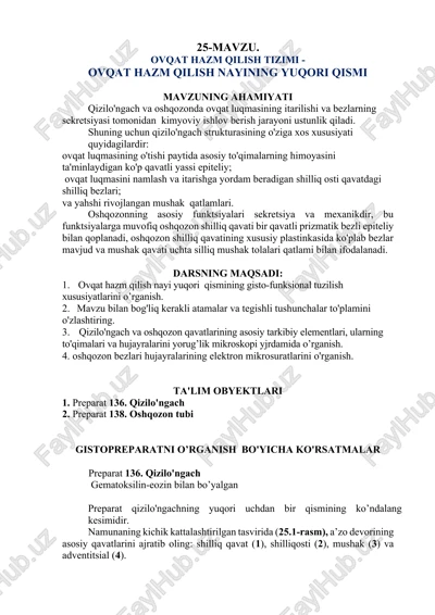 ovqat hazm qilish tizimi — DOCX