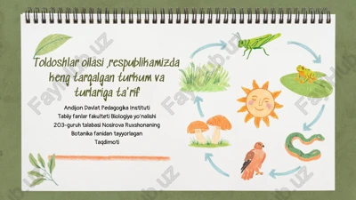 toldoshlar oilasi — PDF