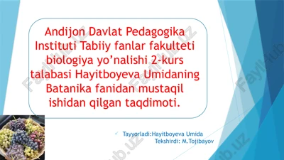 tokdoshlar oilasi va ularning turkumlari — PPTX