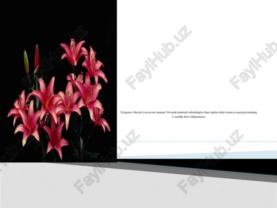 furnitura va uning turlari — PPTX