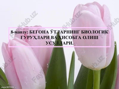 begonao'tlarning biologik guruhlari va hisobga olish usullari — PPT