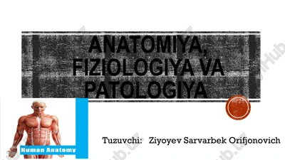 anatomiya, fiziologiya va patologiya — PPTX