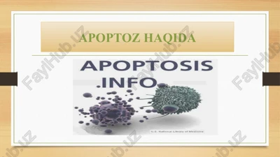 apoptozhaqida — PPTX