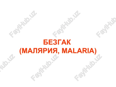 bezgak(malyariya,malaria) — PPT
