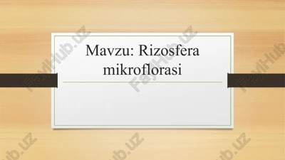 rizosfera mikroflorasi — PPTX