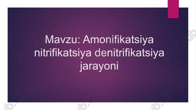 amonifikatsiya nitrifikatsiya denitrifikatsiya jarayoni — PPTX