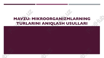 mikroorganizmlarning turlarini aniqlash usullari — PPTX