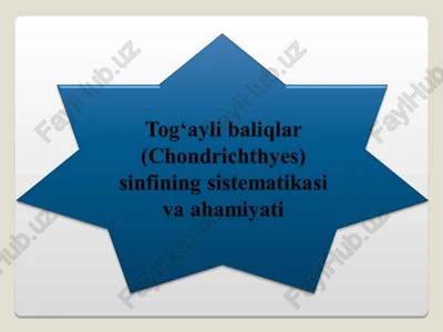 tog‘ayli baliqlar sinfi — PPT