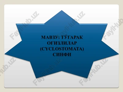 umurtqalilar kenja tipi — PPT