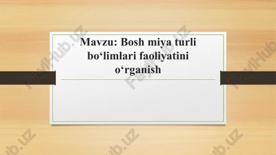 bosh miya turli boʻlimlari faoliyatini oʻrganish — PPTX