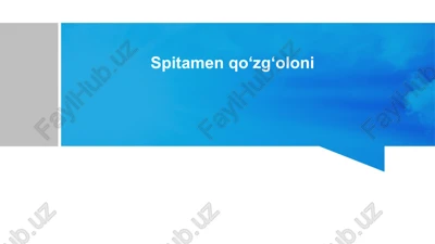 spitamenqoʻzgʻoloni — PPTX