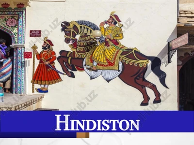 hindiston dehlisultonligining tashkili — PPTX