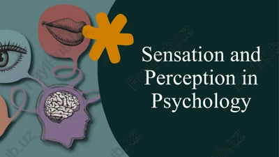 sensation and perception in psychology — PPTX