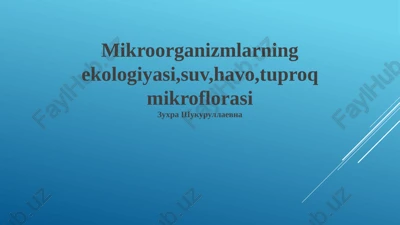 mikroorganizmlarning ekologiyasi — PPTX