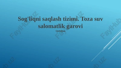 sog'liqni saqlash tizimi va toza suvning ahamiyati — PPTX