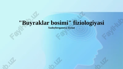 "buyraklar bosimi" fiziologiyasi — PPTX