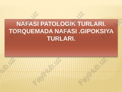 nafasipatologikturlari — PPTX