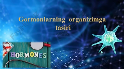 gormonlarning organizim gatnashishi — PPTX