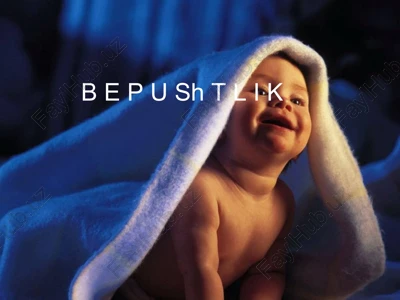 bepushtlik — PPTX