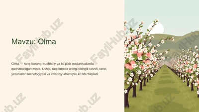 olma — PPTX