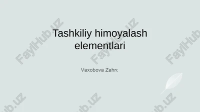 tashkiliy himoyalash elementlari — PPTX
