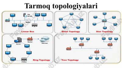 tarmoqtopologiyalari — PPTX