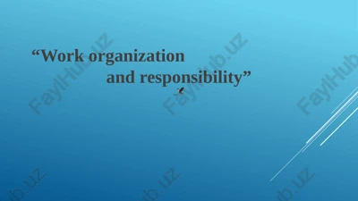 work organization and responsibility — PPTX