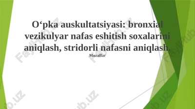 bronxial vesikulyar nafas ovozlari: aniqlash va ahamiyati — PPTX