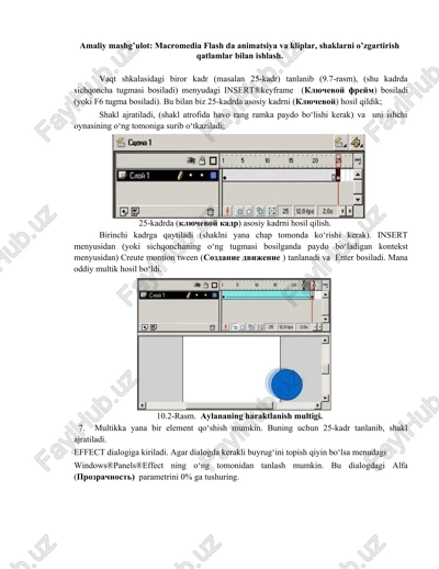 macromedia flash — DOCX