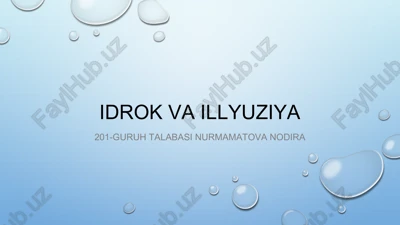 idrok va illyuziya — PPTX