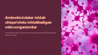 aminokislotalar ishlab chiqarishda ishlatiladigan mikroorganizmlar — PPTX