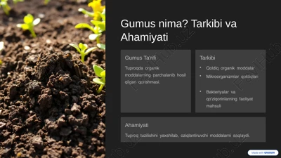 gumus nima? tarkibi va ahamiyati — PPTX