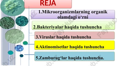 mikroorganizmlar haqida — PPTX