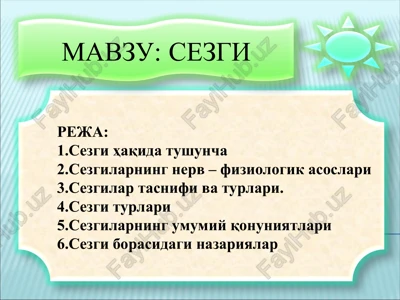 sezgi — PPT