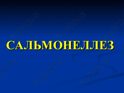calmonellyoz — PPT