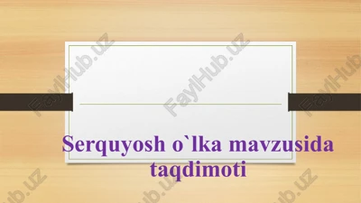 serquyosho`lka — PPTX