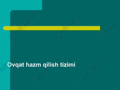 ovqat hazm qilish tizimi — PPT